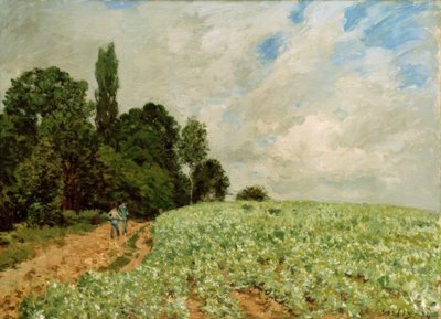 The Clover Field by Alfred Sisley